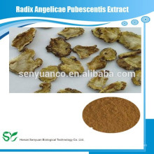 Hochwertiger Radix angelicae pubescentis extract